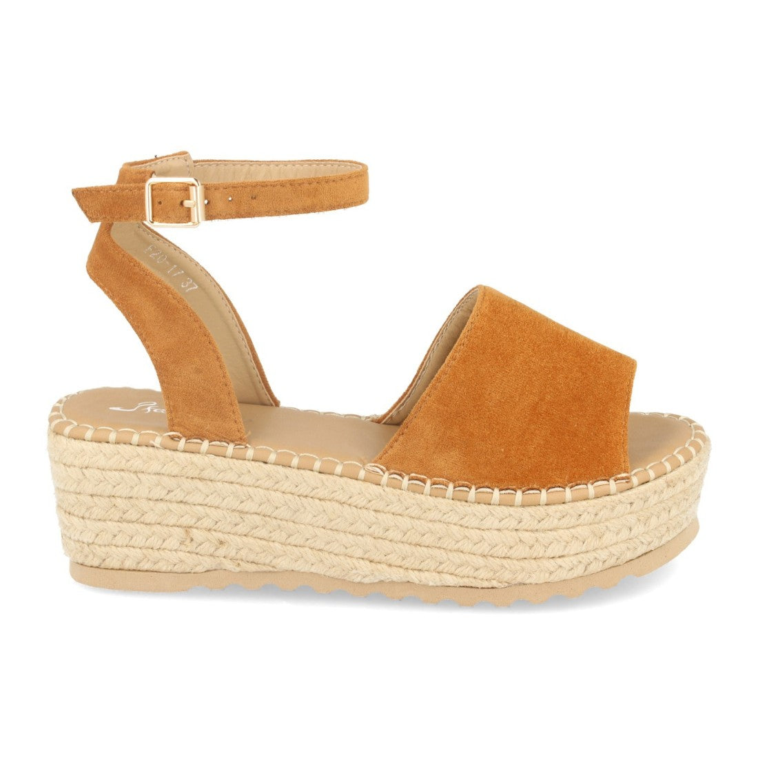 F20-17-Camel