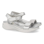 HLS-0691-Plata