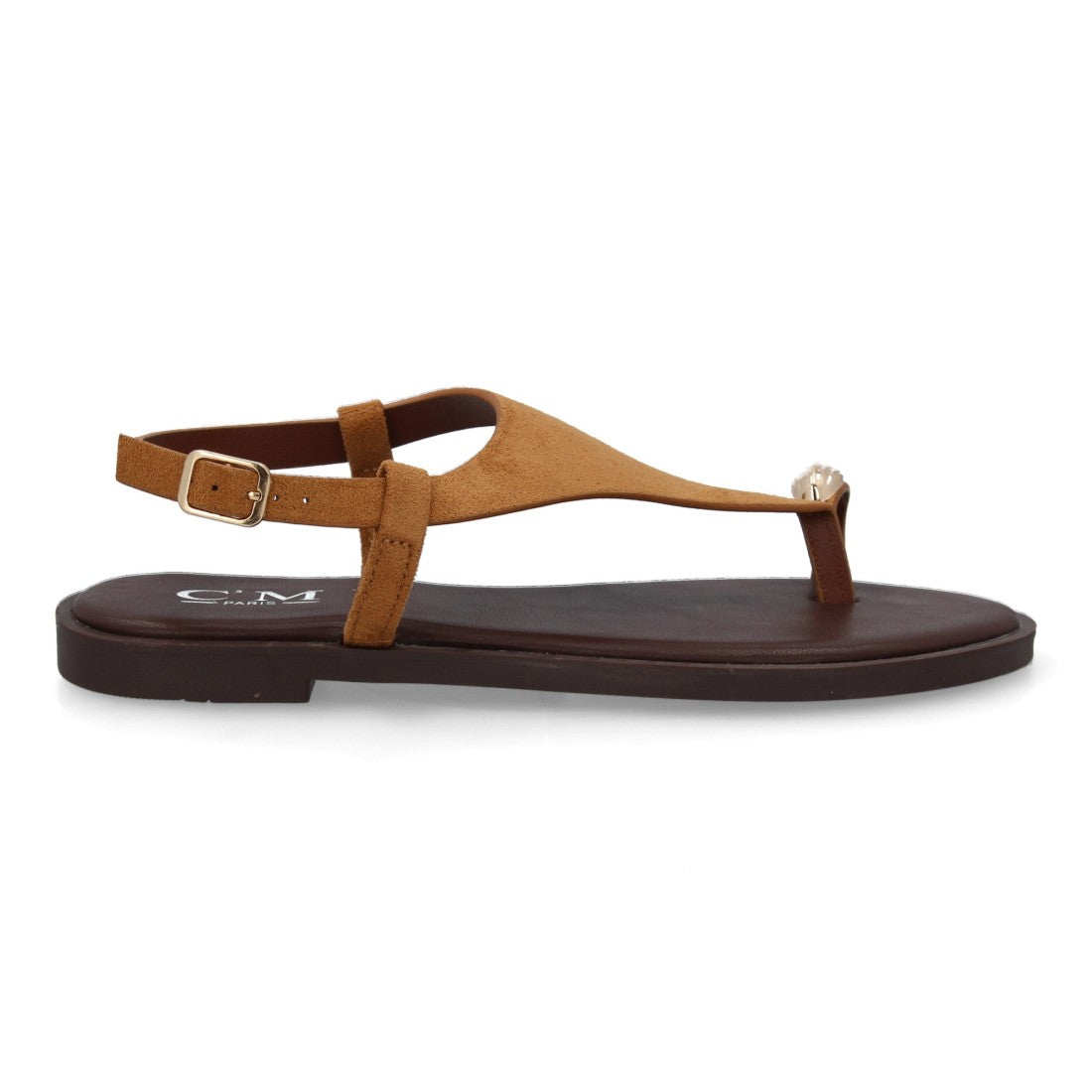 5270-Camel