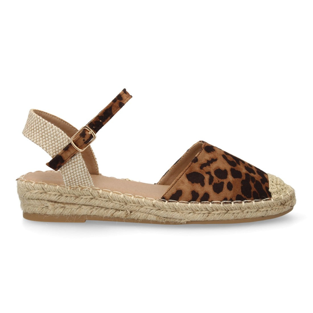 JY-3A024-Leopardo