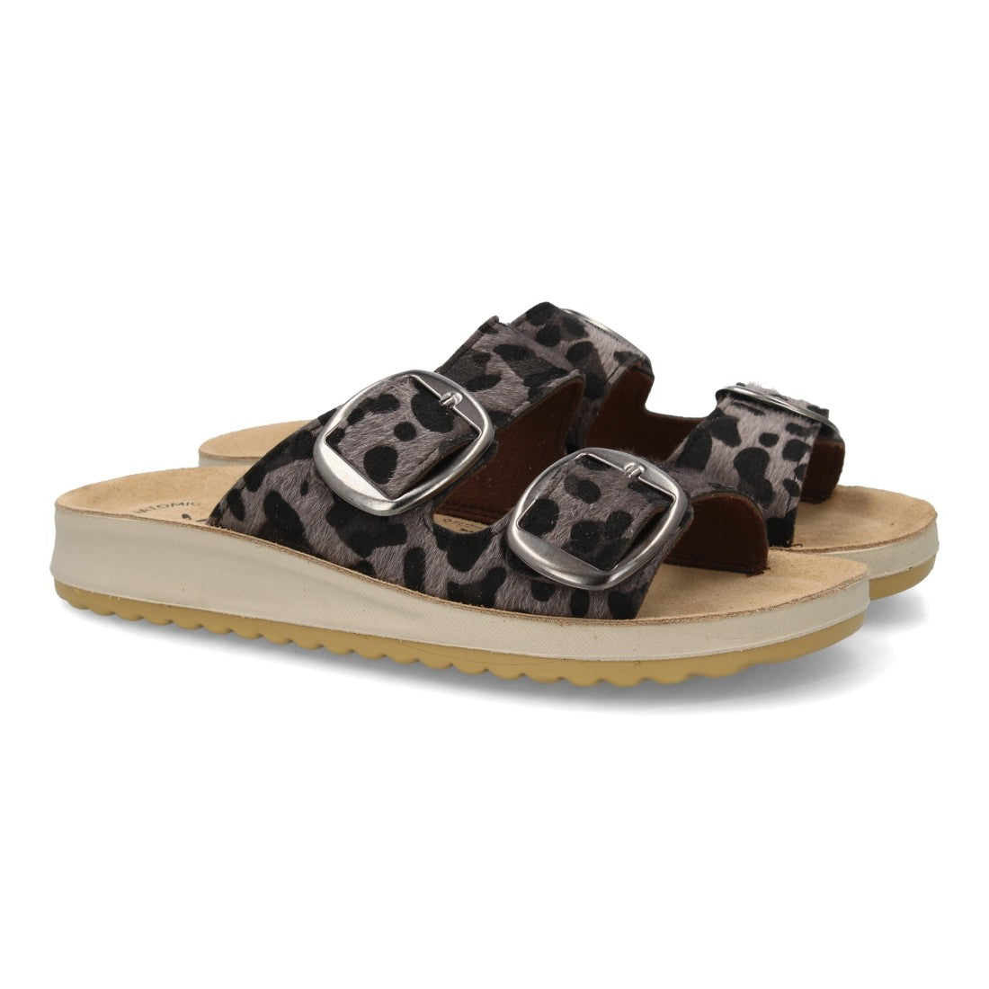 6570-Negro
