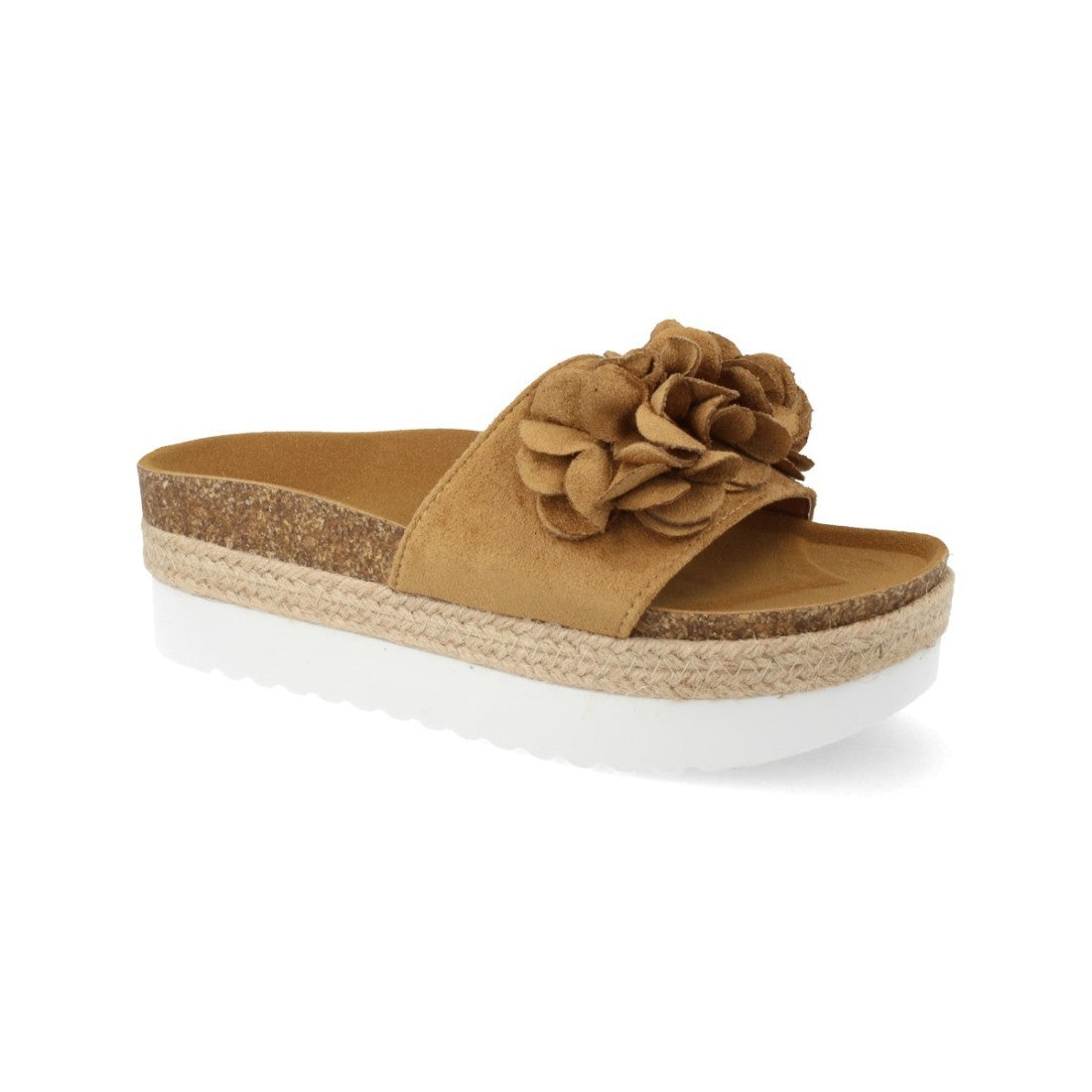B8121-Camel