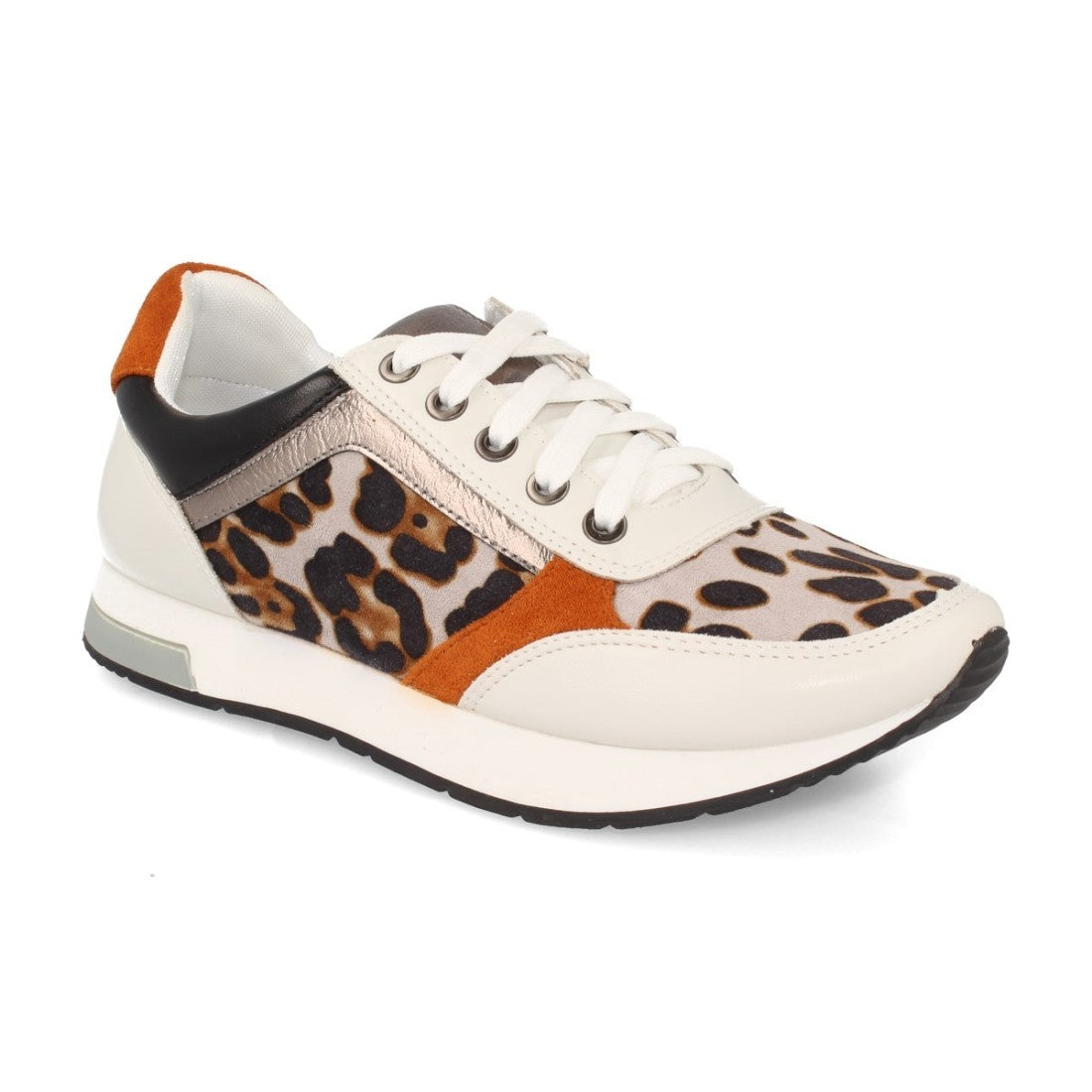 K1940004-Leopardo